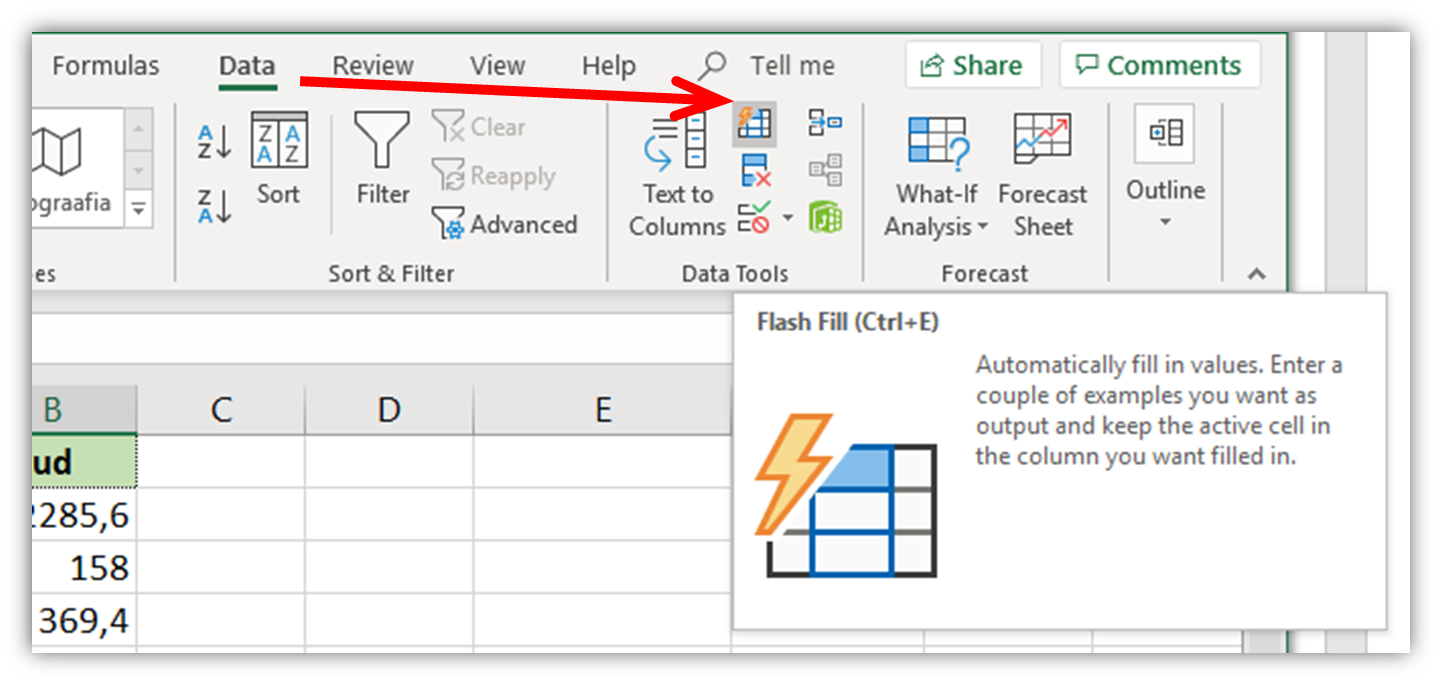 Data Flash Fill